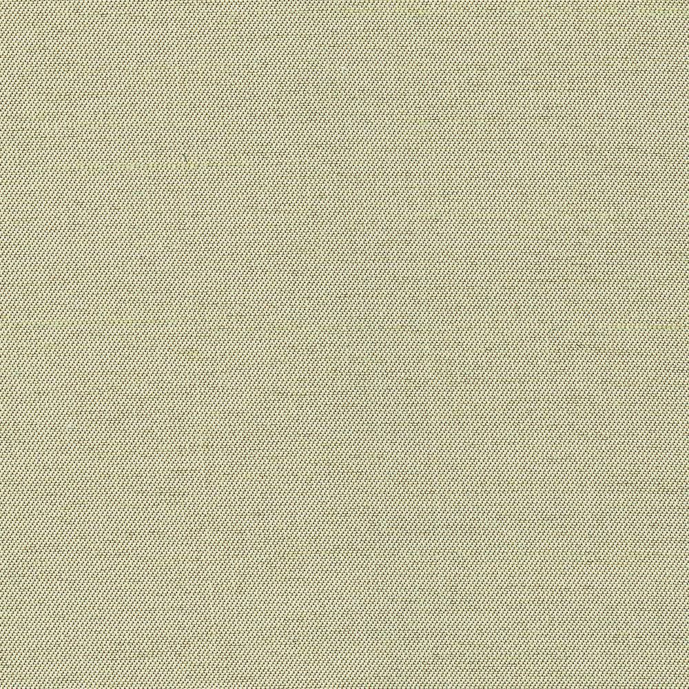 Firenza Cucumber  by Kasmir Fabric See sample 100% Polyester
 INDIA 9,000 Wyzenbeek Double Rubs </p><p>Repeat: Horizontal: N/A and Vertical: N/A 54  - Fabric Carolina -