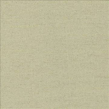 Firenza Cucumber by Kasmir Fabric 1380 100% Polyester INDIA 9,000 Wyzenbeek Double Rubs H: N/A, V: N/A 54 - 55 - Fabric Carolina - Kasmir