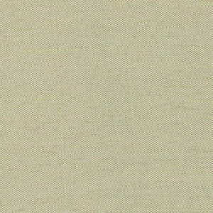 Firenza Cucumber by Kasmir Fabric