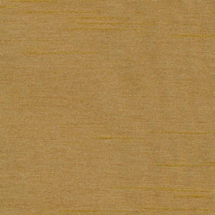 Firenza Curry by Kasmir Fabric 1380 100% Polyester INDIA 9,000 Wyzenbeek Double Rubs H: N/A, V:N/A 54 - 55 - Fabric Carolina - Kasmir