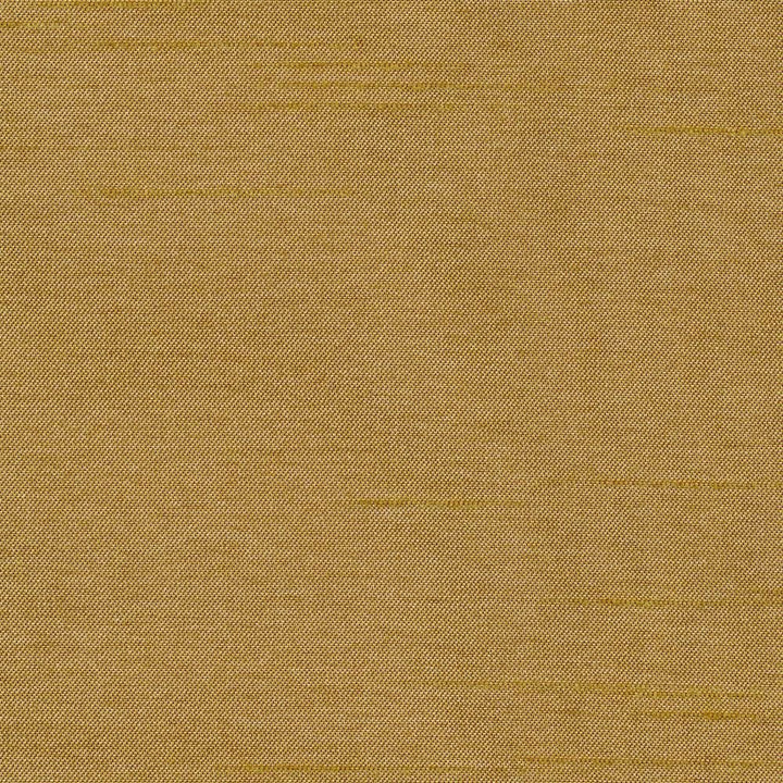 Firenza Curry by Kasmir Fabric 1380 100% Polyester
 INDIA 9,000 Wyzenbeek Double Rubs Horizontal: N/A and Vertical: N/A 54 - Fabric Carolina -