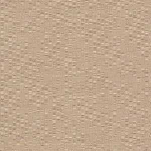Firenza Doeskin by Kasmir Fabric
