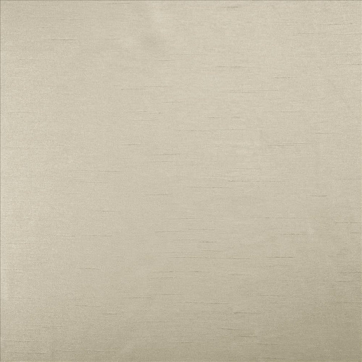 Firenza Dove by Kasmir Fabric 5152 100% Polyester
 INDIA </p><p>Repeat: Horizontal: N/A and Vertical: N/A 54 - 55 - Fabric Carolina -