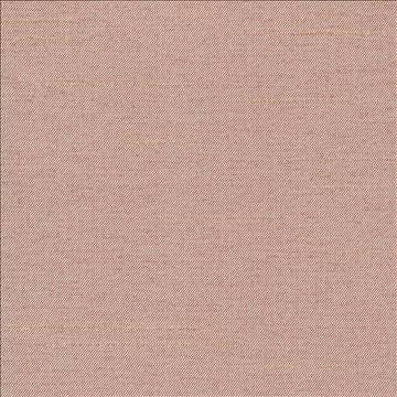 Firenza Driftwood by Kasmir Fabric 1380 100% Polyester INDIA 9,000 Wyzenbeek Double Rubs H: N/A, V: N/A 54 - 55 - Fabric Carolina - Kasmir
