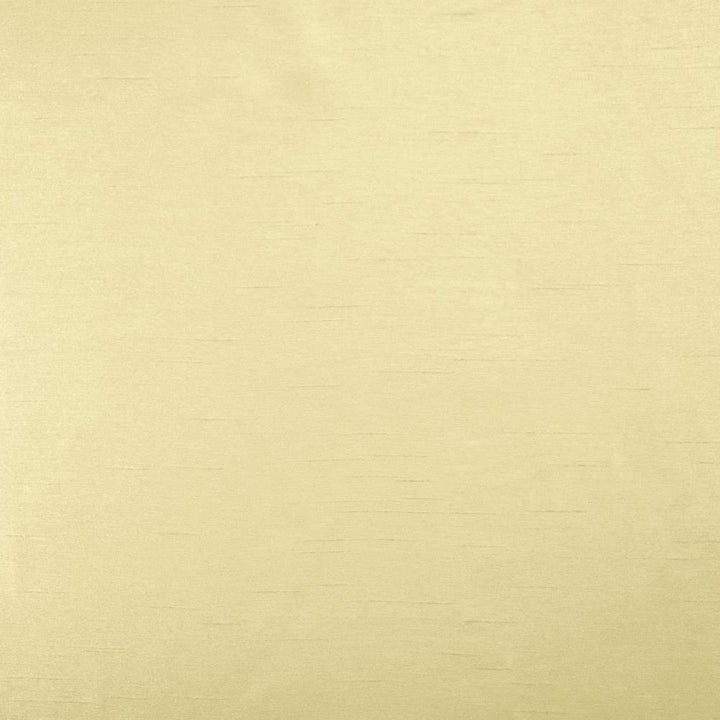 Firenza Dune by Kasmir Fabric 5152 100% Polyester
 INDIA </p><p>Repeat: Horizontal: N/A and Vertical: N/A 54 - 55 - Fabric Carolina -