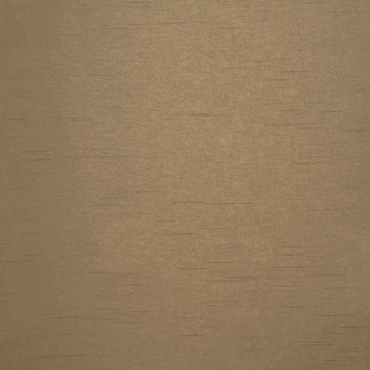 Firenza Earth by Kasmir Fabric 5152 100% Polyester
 INDIA </p><p>Repeat: Horizontal: N/A and Vertical: N/A 54 - 55 - Fabric Carolina -