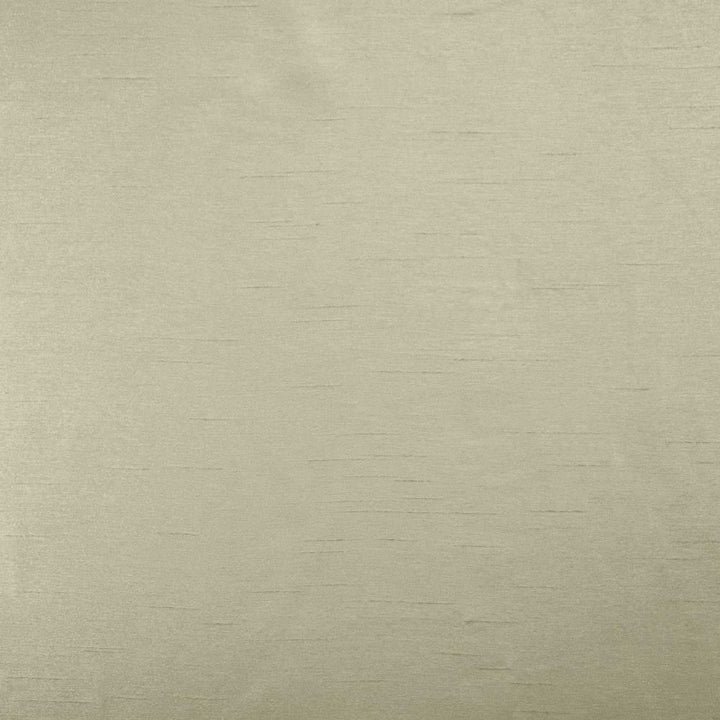Firenza Gray by Kasmir Fabric 1246 100% Polyester
 INDIA </p><p>Repeat: Horizontal: N/A and Vertical: N/A 54 - 55 - Fabric Carolina -