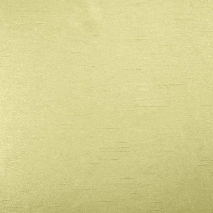 Firenza Honey Dew by Kasmir Fabric 5152 100% Polyester
 INDIA </p><p>Repeat: Horizontal: N/A and Vertical: N/A 54 - 55 - Fabric Carolina -