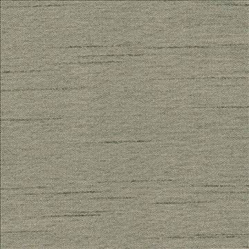 Firenza Lichen by Kasmir Fabric 1380 100% Polyester INDIA 9,000 Wyzenbeek Double Rubs H: N/A, V: N/A 54 - 55 - Fabric Carolina - Kasmir