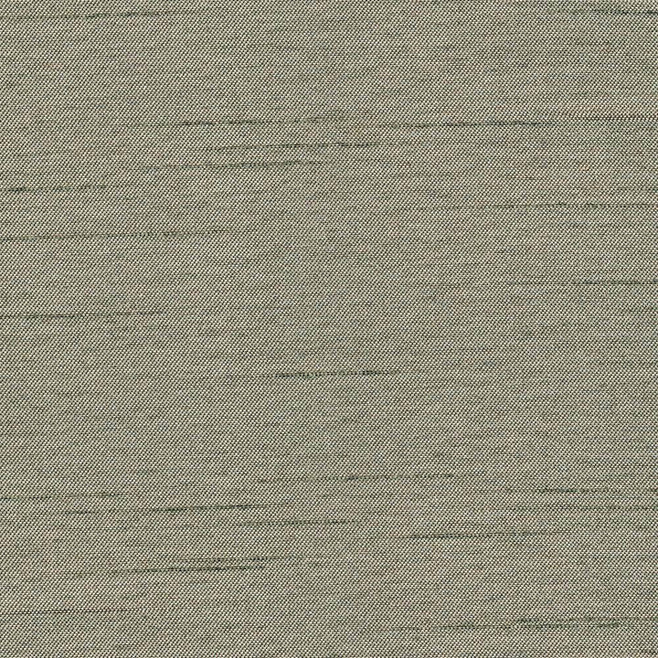 Firenza Lichen by Kasmir Fabric 1380 100% Polyester INDIA 9,000 Wyzenbeek Double Rubs H: N/A, V:N/A 54 - 55 - Fabric Carolina - Kasmir