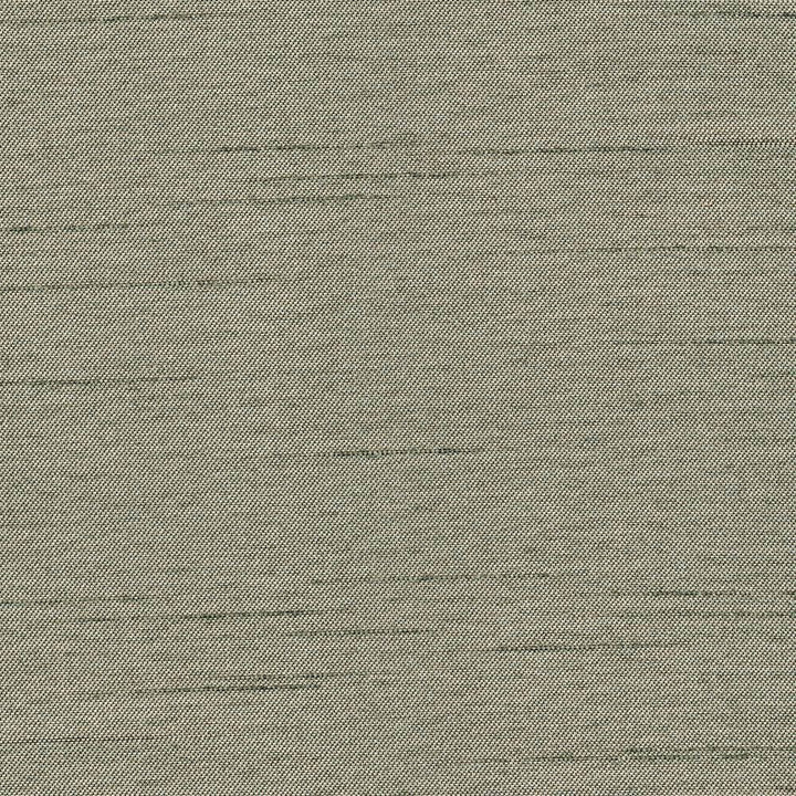 Firenza Lichen by Kasmir Fabric 1380 100% Polyester
 INDIA 9,000 Wyzenbeek Double Rubs Horizontal: N/A and Vertical: N/A 54 - Fabric Carolina -