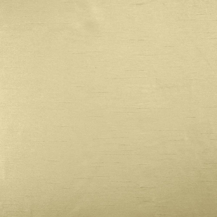 Firenza Linen by Kasmir Fabric 5152 100% Polyester
 INDIA </p><p>Repeat: Horizontal: N/A and Vertical: N/A 54 - 55 - Fabric Carolina -