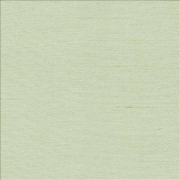 Firenza Ming Green by Kasmir Fabric 1380 100% Polyester INDIA 9,000 Wyzenbeek Double Rubs H: N/A, V: N/A 54 - 55 - Fabric Carolina - Kasmir