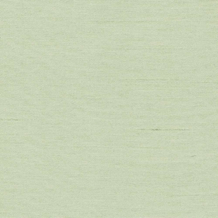 Firenza Ming Green by Kasmir Fabric 1380 100% Polyester
 INDIA </p><p>Repeat: Horizontal: N/A and Vertical: N/A 54 - 55 - Fabric Carolina -