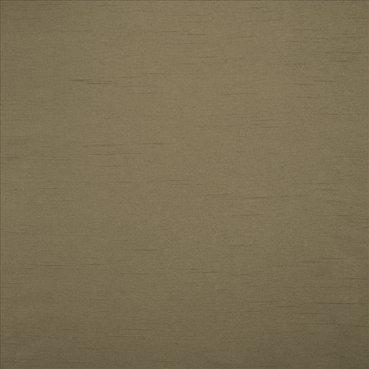 Firenza Mushroom by Kasmir Fabric 5152 100% Polyester
 INDIA </p><p>Repeat: Horizontal: N/A and Vertical: N/A 54 - 55 - Fabric Carolina -