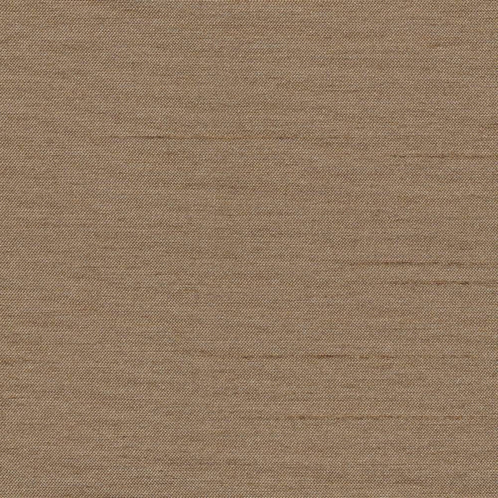 Firenza Mushroom by Kasmir Fabric 1246 100% Polyester INDIA 9,000 Wyzenbeek Double Rubs H: N/A, V:N/A 54 - 55 - Fabric Carolina - Kasmir
