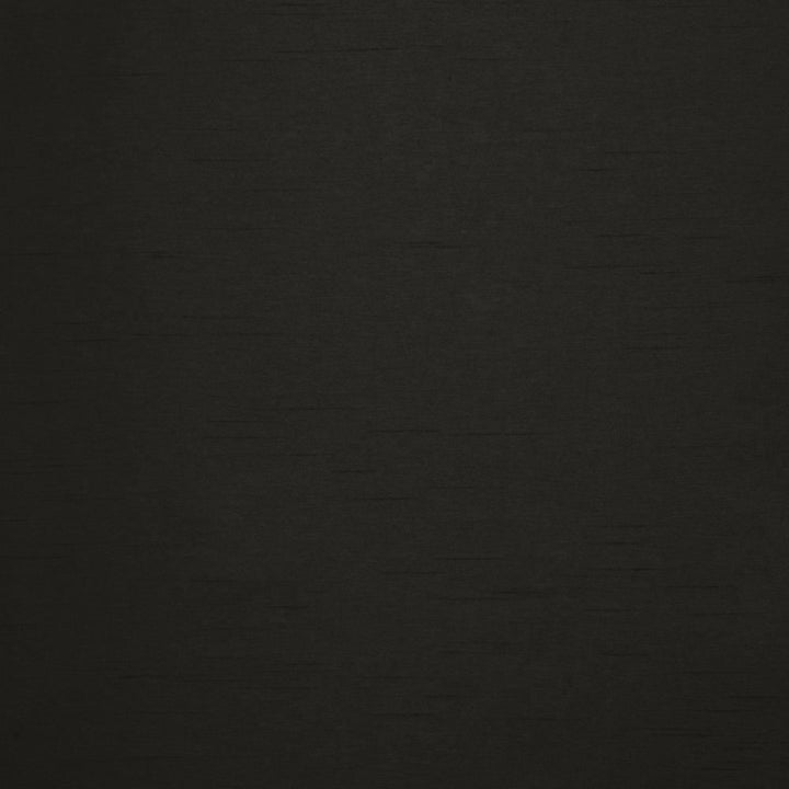 Firenza Onyx by Kasmir Fabric 1246 100% Polyester
 INDIA </p><p>Repeat: Horizontal: N/A and Vertical: N/A 54 - 55 - Fabric Carolina -