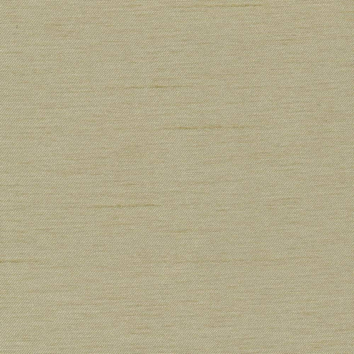 Firenza Patina by Kasmir Fabric 1380 100% Polyester INDIA 9,000 Wyzenbeek Double Rubs H: N/A, V:N/A 54 - 55 - Fabric Carolina - Kasmir