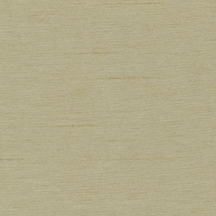 Firenza Patina by Kasmir Fabric 1246 100% Polyester INDIA 9,000 Wyzenbeek Double Rubs Horizontal: 0 Inches and Vertical: 0 Inches 54 - 55 - Fabric Carolina -