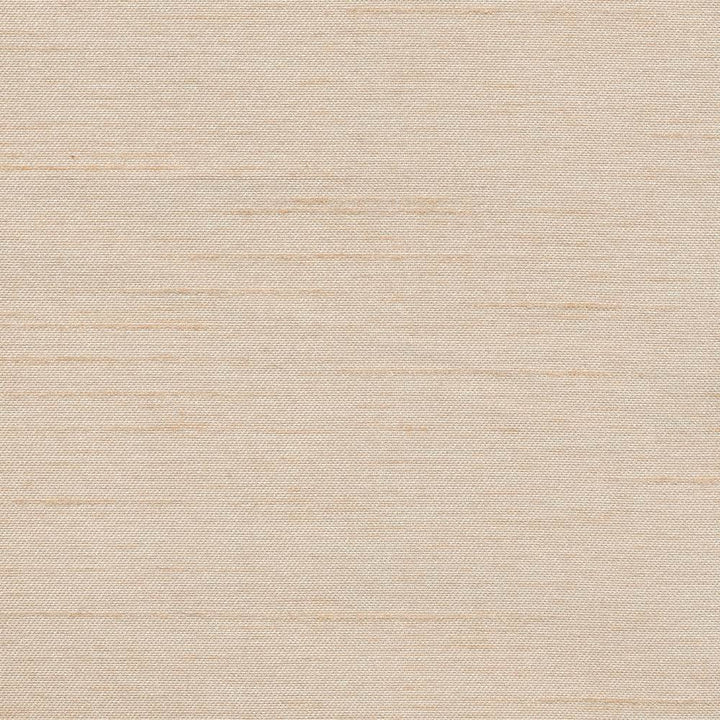 Firenza Pebble by Kasmir Fabric 1380 100% Polyester INDIA 9,000 Wyzenbeek Double Rubs H: N/A, V:N/A 54 - 55 - Fabric Carolina - Kasmir