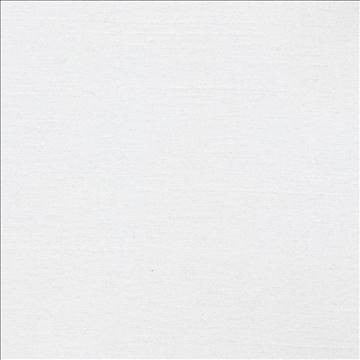Firenza Porcelain by Kasmir Fabric 1246 100% Polyester INDIA 9,000 Wyzenbeek Double Rubs H: N/A, V: N/A 54 - 55 - Fabric Carolina - Kasmir