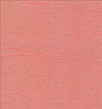 Firenza Primrose by Kasmir Fabric 1380 100% Polyester INDIA 9,000 Wyzenbeek Double Rubs H: N/A, V: N/A 54 - 55 - Fabric Carolina - Kasmir