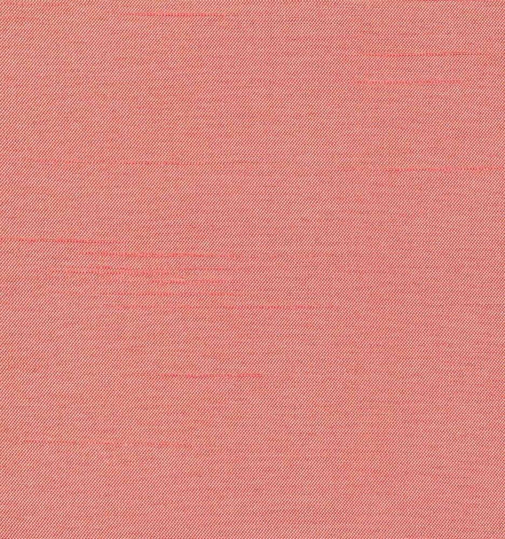 Firenza Primrose by Kasmir Fabric 1380 100% Polyester INDIA 9,000 Wyzenbeek Double Rubs H: N/A, V:N/A 54 - 55 - Fabric Carolina - Kasmir