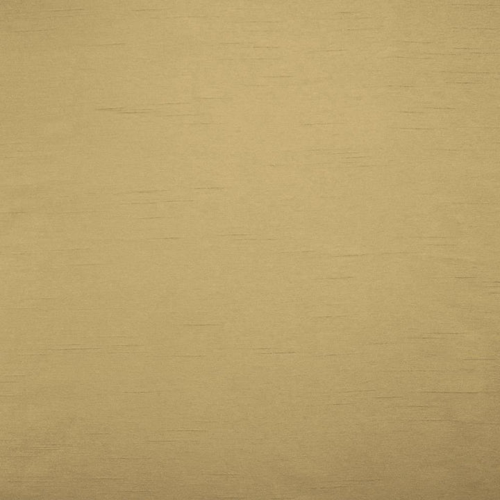 Firenza Putty by Kasmir Fabric 5152 100% Polyester
 INDIA </p><p>Repeat: Horizontal: N/A and Vertical: N/A 54 - 55 - Fabric Carolina -