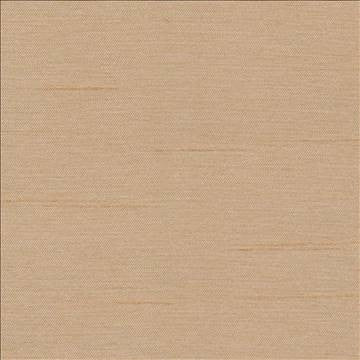 Firenza Putty by Kasmir Fabric 1246 100% Polyester INDIA 9,000 Wyzenbeek Double Rubs H: N/A, V: N/A 54 - 55 - Fabric Carolina - Kasmir