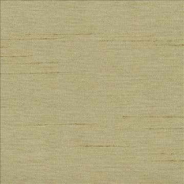 Firenza Sage by Kasmir Fabric 1380 100% Polyester INDIA 9,000 Wyzenbeek Double Rubs H: N/A, V: N/A 54 - 55 - Fabric Carolina - Kasmir