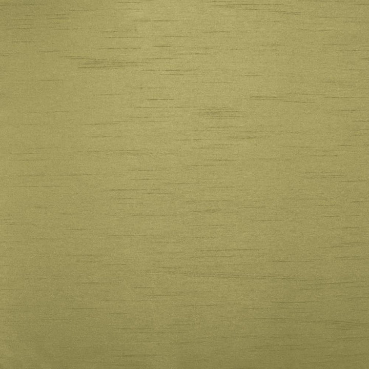 Firenza Sage by Kasmir Fabric 1246 100% Polyester
 INDIA </p><p>Repeat: Horizontal: N/A and Vertical: N/A 54 - 55 - Fabric Carolina -