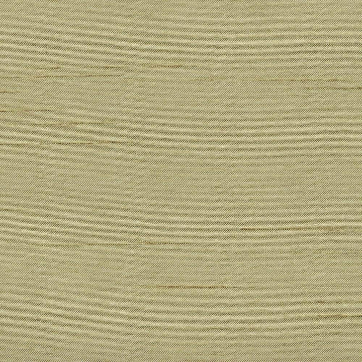 Firenza Sage by Kasmir Fabric 1380 100% Polyester INDIA 9,000 Wyzenbeek Double Rubs H: N/A, V:N/A 54 - 55 - Fabric Carolina - Kasmir