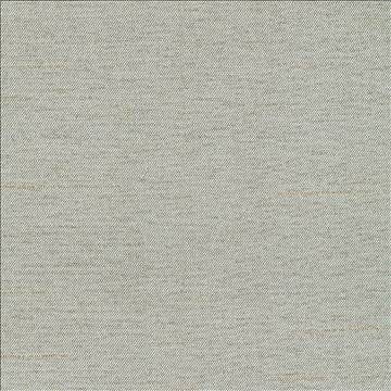 Firenza Seafoam by Kasmir Fabric 1380 100% Polyester INDIA 9,000 Wyzenbeek Double Rubs H: N/A, V: N/A 54 - 55 - Fabric Carolina - Kasmir