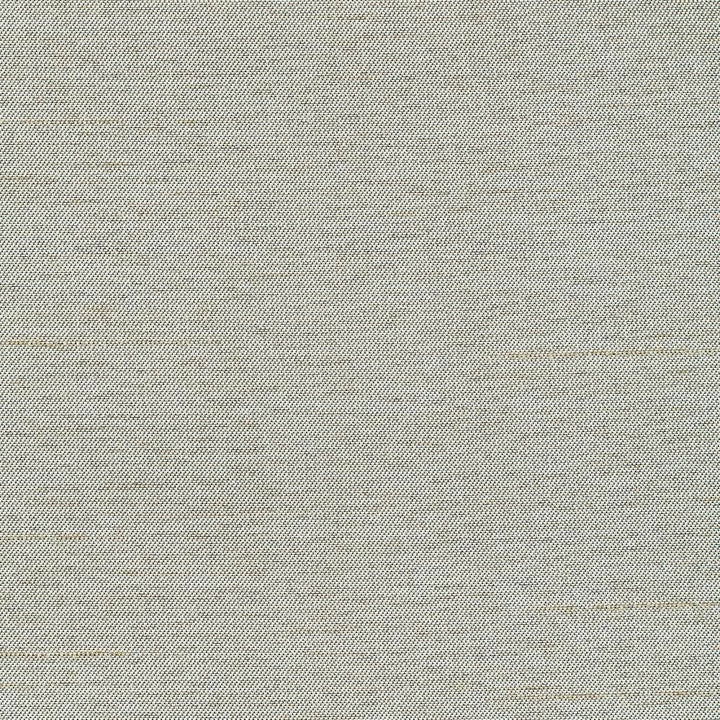 Firenza Seafoam by Kasmir Fabric 1380 100% Polyester
 INDIA </p><p>Repeat: Horizontal: N/A and Vertical: N/A 54 - 55 - Fabric Carolina -