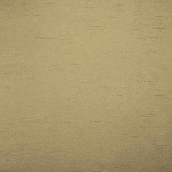 Firenza Sesame by Kasmir Fabric 5152 100% Polyester
 INDIA </p><p>Repeat: Horizontal: N/A and Vertical: N/A 54 - 55 - Fabric Carolina -