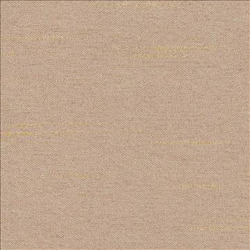 Firenza Sesame by Kasmir Fabric 1380 100% Polyester INDIA 9,000 Wyzenbeek Double Rubs H: N/A, V: N/A 54 - 55 - Fabric Carolina - Kasmir