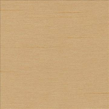 Firenza Toast by Kasmir Fabric 1380 100% Polyester INDIA 9,000 Wyzenbeek Double Rubs H: N/A, V: N/A 54 - 55 - Fabric Carolina - Kasmir