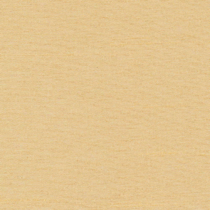 Firenza Wheat by Kasmir Fabric 1246 100% Polyester INDIA 9,000 Wyzenbeek Double Rubs H: N/A, V:N/A 54 - 55 - Fabric Carolina - Kasmir