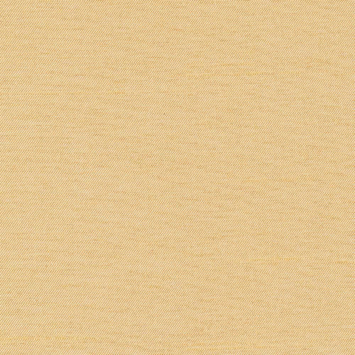 Firenza Wheat by Kasmir Fabric 1380 100% Polyester
 INDIA 9,000 Wyzenbeek Double Rubs </p><p>Repeat: Horizontal: N/A and Vertical: N/A 54 - Fabric Carolina -