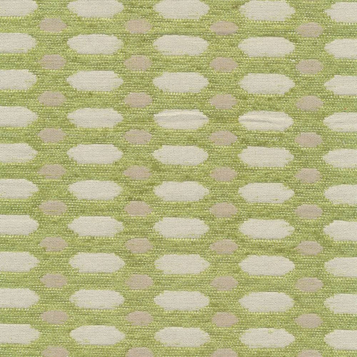 Flatiron Trellis Dill by Kasmir Fabric 1387 74% Rayon
26% Polyester
 CHINA </p><p>Repeat: Horizontal: 1 4/8 inches and Vertical: 6/8 inches 54 - Fabric Carolina -