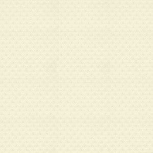 Flow 55 Ivory by Kasmir Fabric