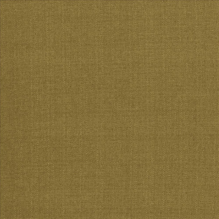 Flynn Amber by Kasmir Fabric 5164 91% Polyester
9% Nylon
 CHINA </p><p>Repeat: Horizontal: N/A and Vertical: N/A 54 - Fabric Carolina -