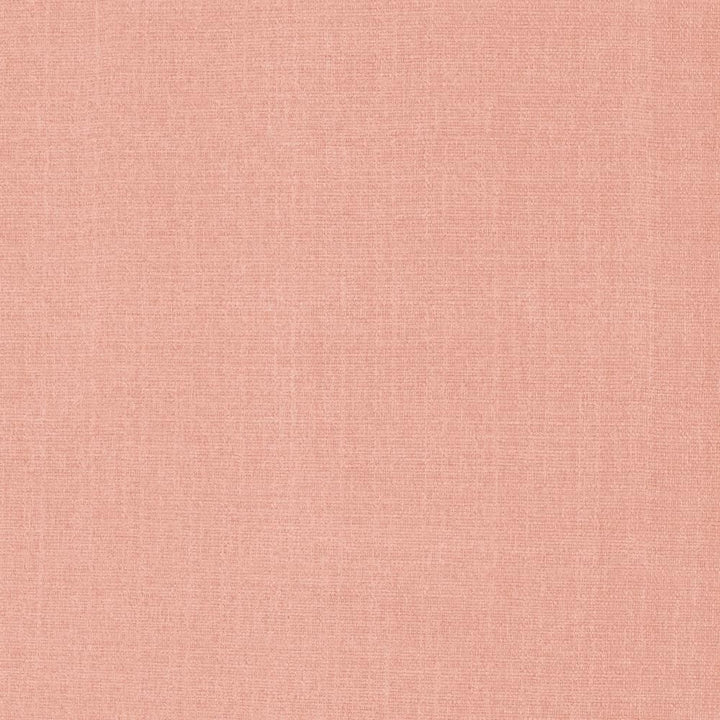 Flynn Blush by Kasmir Fabric 5164 91% Polyester
9% Nylon
 CHINA </p><p>Repeat: Horizontal: N/A and Vertical: N/A 54 - Fabric Carolina -