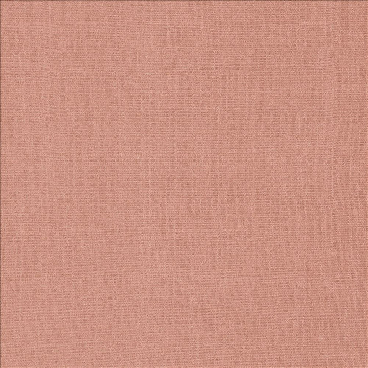Flynn Blush by Kasmir Fabric 5164 91% Polyester
9% Nylon
 CHINA </p><p>Repeat: Horizontal: N/A and Vertical: N/A 54 - Fabric Carolina -