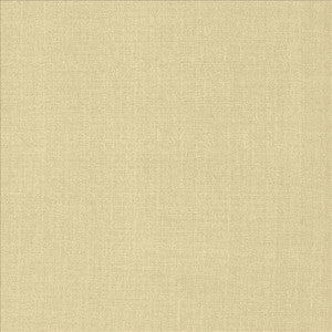 Flynn Cream by Kasmir Fabric