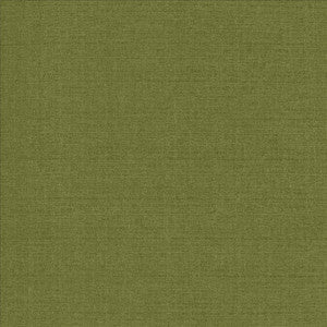 Flynn Fern by Kasmir Fabric