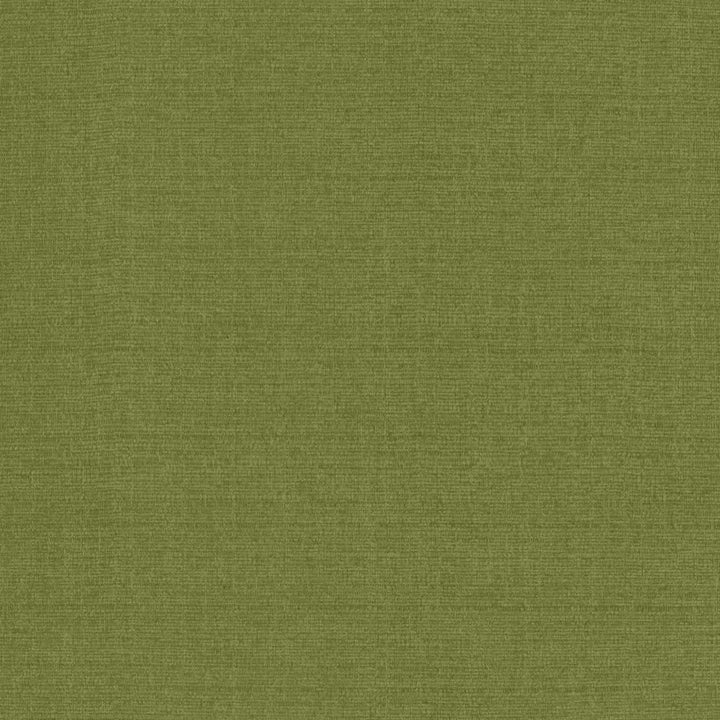 Flynn Fern by Kasmir Fabric 5164 91% Polyester
9% Nylon
 CHINA </p><p>Repeat: Horizontal: N/A and Vertical: N/A 54 - Fabric Carolina -