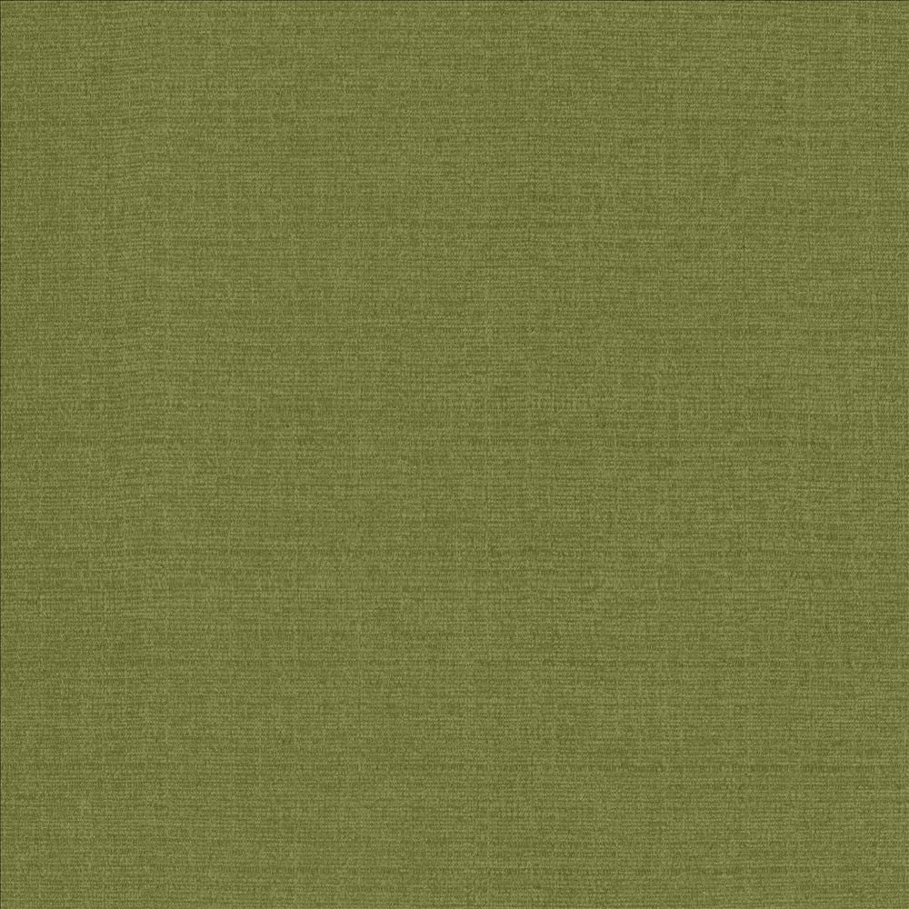 Flynn Fern by Kasmir Fabric 5164 91% Polyester
9% Nylon
 CHINA 100,000 Wyzenbeek Double Rubs </p><p>Repeat: Horizontal: N/A and Vertical: N/A 54 - Fabric Carolina -