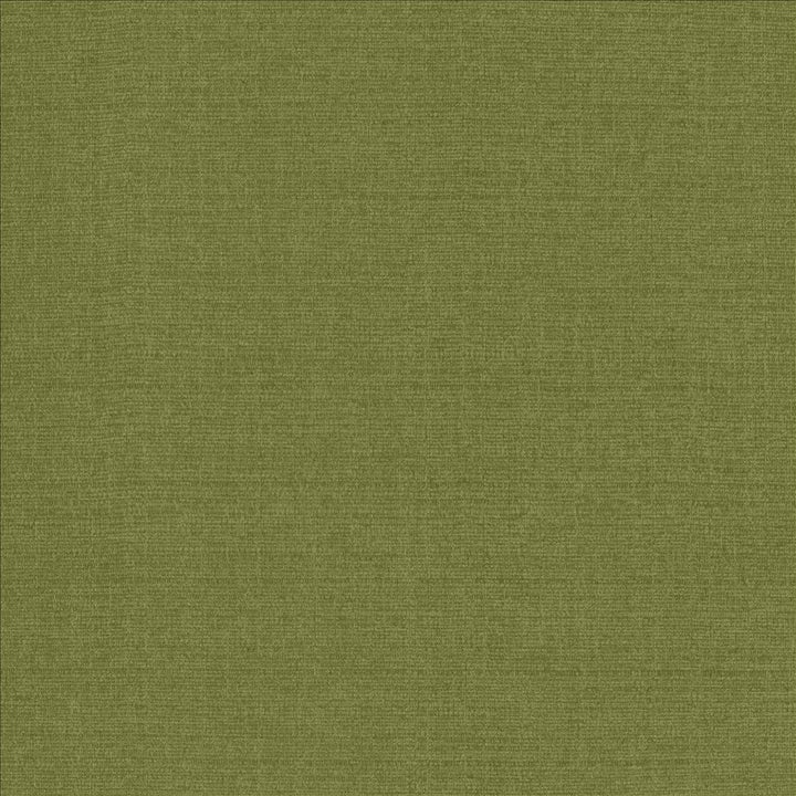 Flynn Fern by Kasmir Fabric 5164 91% Polyester
9% Nylon
 CHINA 100,000 Wyzenbeek Double Rubs </p><p>Repeat: Horizontal: N/A and Vertical: N/A 54 - Fabric Carolina -