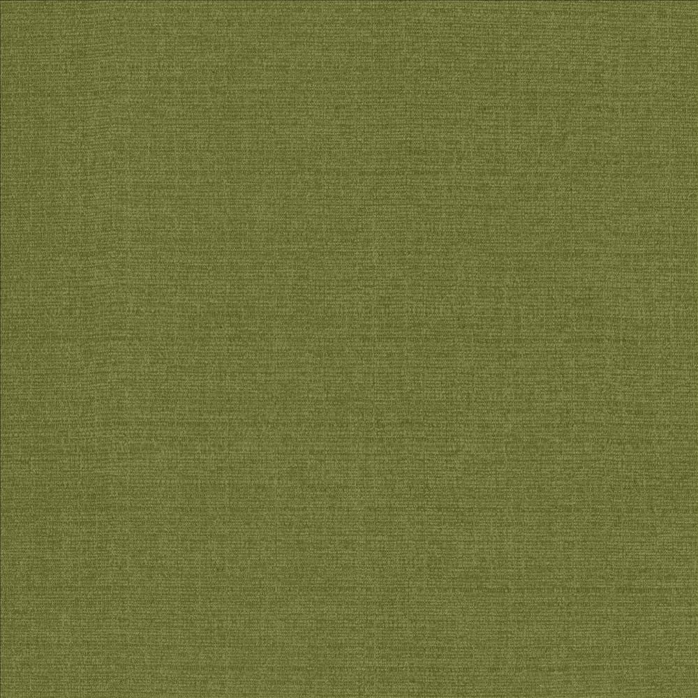 Flynn Fern  by Kasmir Fabric See sample 91% Polyester
9% Nylon
 CHINA 100,000 Wyzenbeek Double Rubs </p><p>Repeat: Horizontal: N/A and Vertical: N/A 54  - Fabric Carolina -